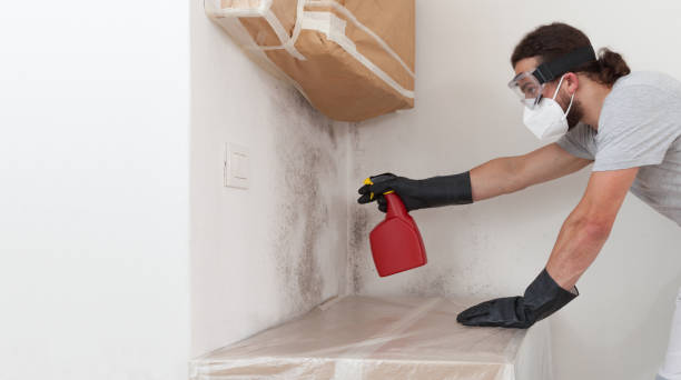 Professional Mold Removal technician working in Higgins Lake, MI